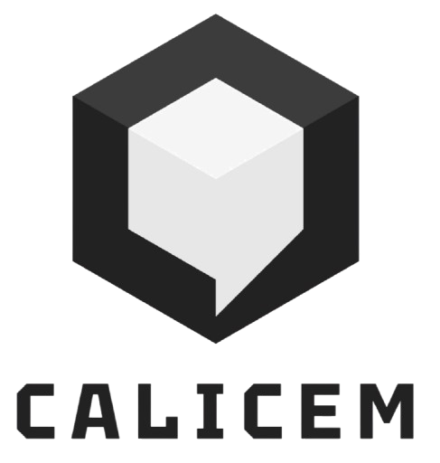 LOGO CALICEM